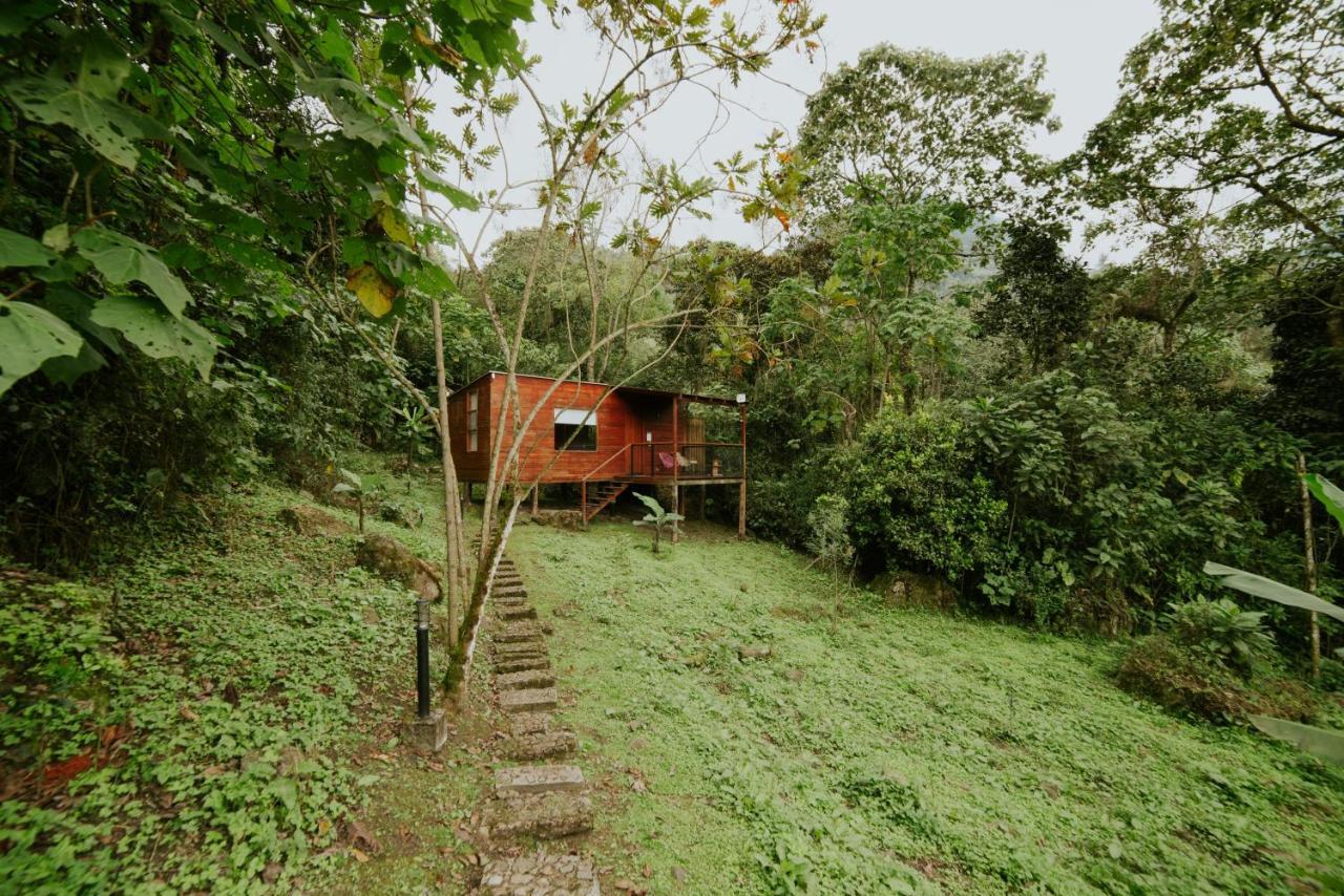 Zipacon Coffee & Adventure Hotel By La Palma Y El Tucan المظهر الخارجي الصورة