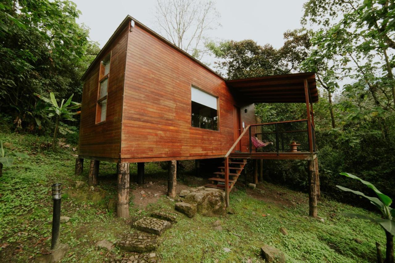 Zipacon Coffee & Adventure Hotel By La Palma Y El Tucan المظهر الخارجي الصورة