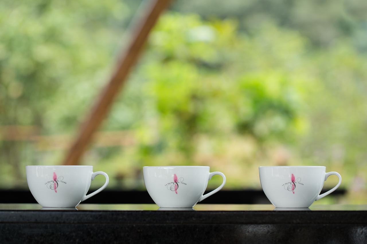 Zipacon Coffee & Adventure Hotel By La Palma Y El Tucan المظهر الخارجي الصورة