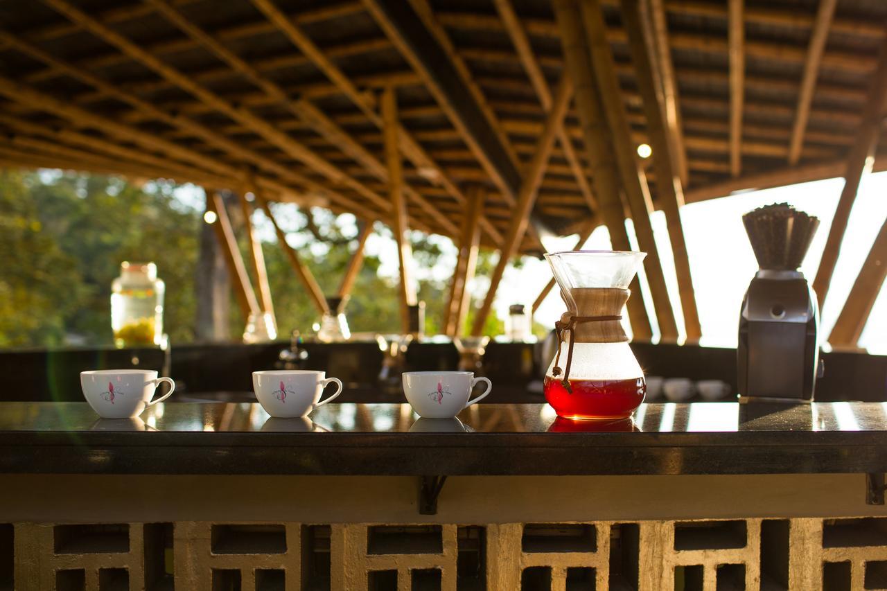 Zipacon Coffee & Adventure Hotel By La Palma Y El Tucan المظهر الخارجي الصورة