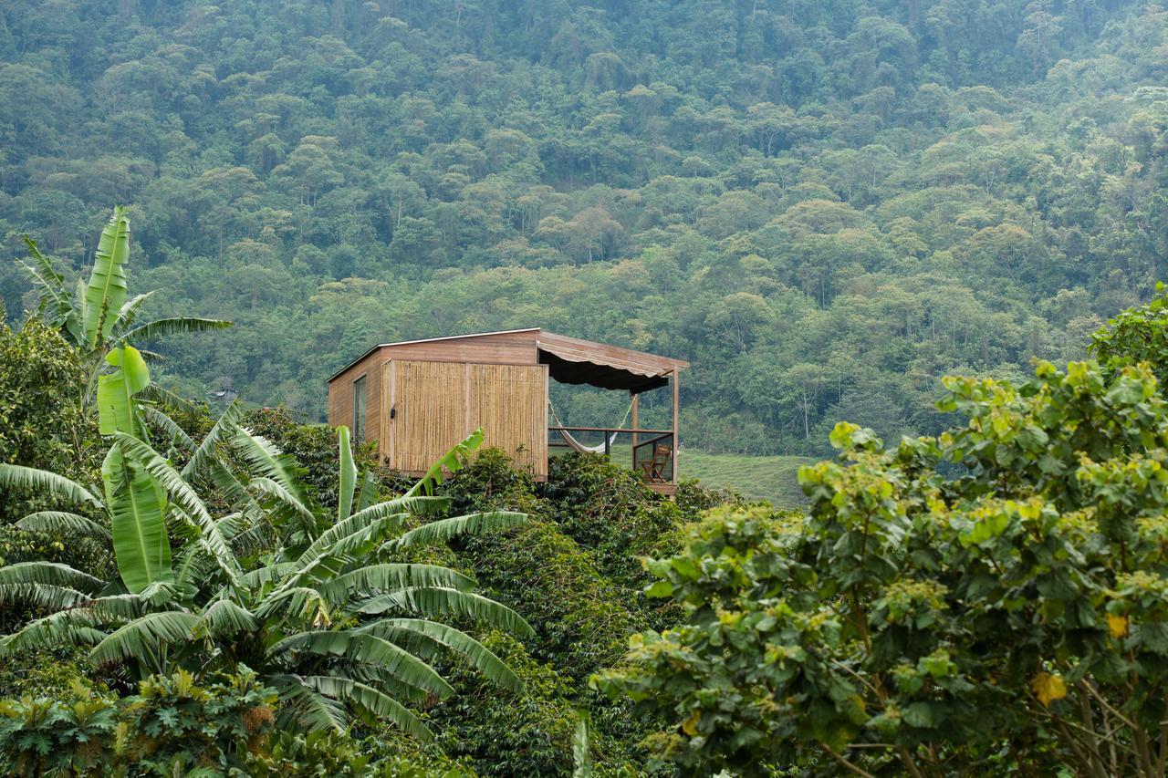 Zipacon Coffee & Adventure Hotel By La Palma Y El Tucan المظهر الخارجي الصورة