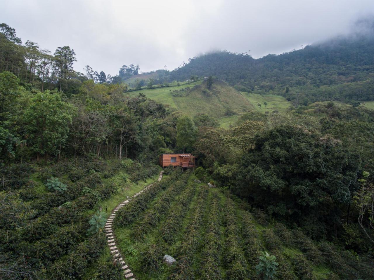 Zipacon Coffee & Adventure Hotel By La Palma Y El Tucan المظهر الخارجي الصورة