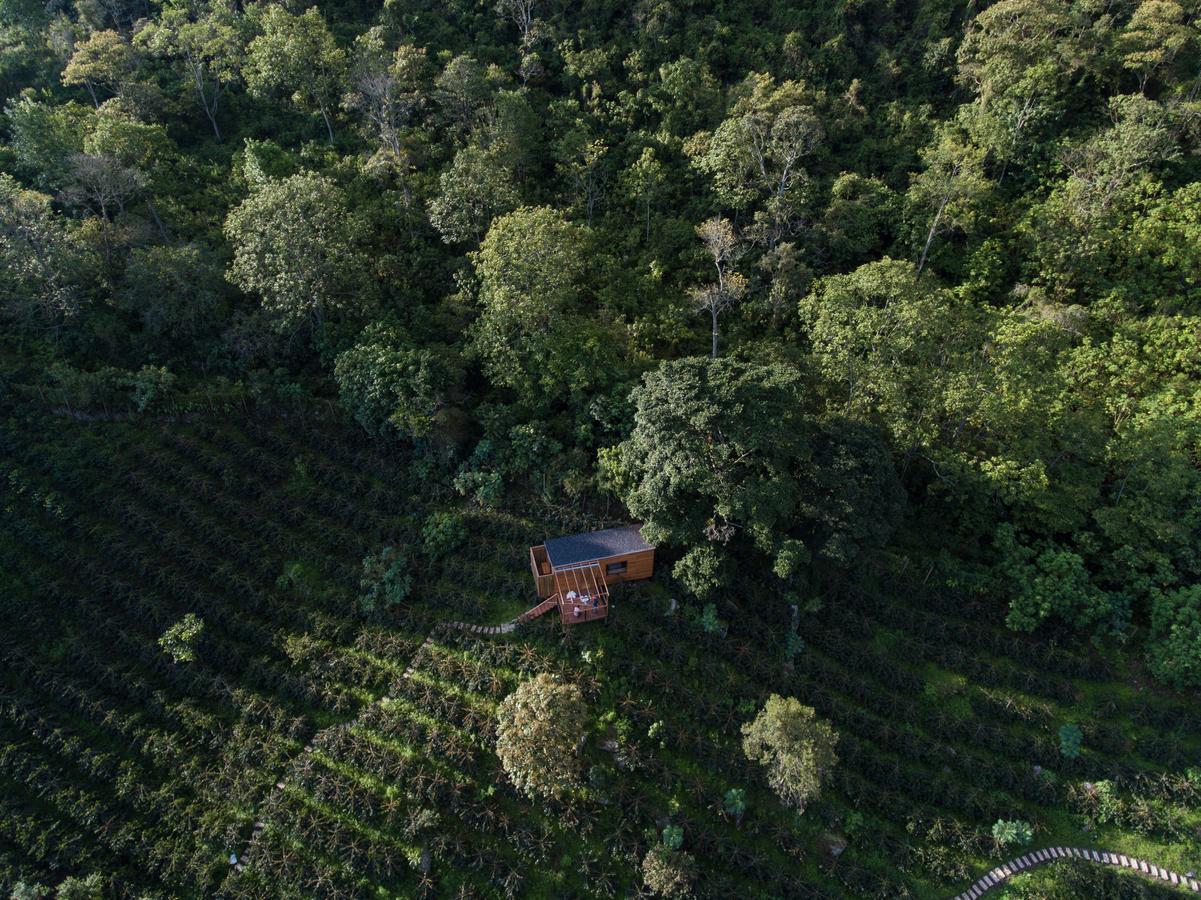 Zipacon Coffee & Adventure Hotel By La Palma Y El Tucan المظهر الخارجي الصورة